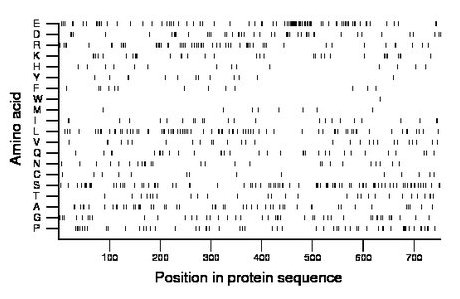 amino acid map