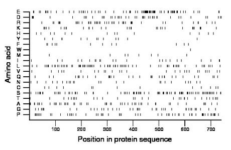 amino acid map