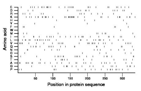 amino acid map