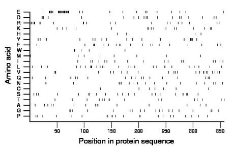 amino acid map