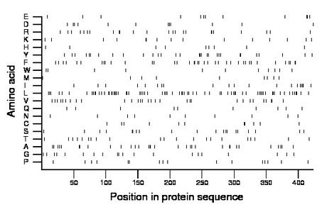 amino acid map