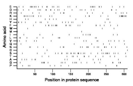 amino acid map