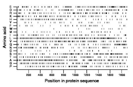 amino acid map