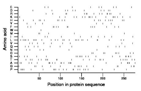 amino acid map