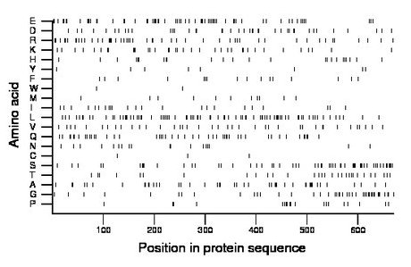 amino acid map