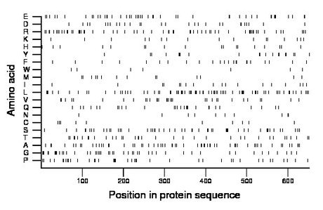 amino acid map