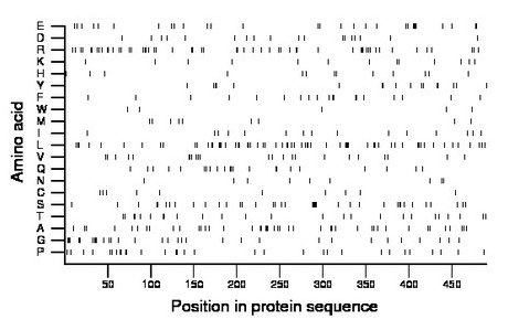 amino acid map