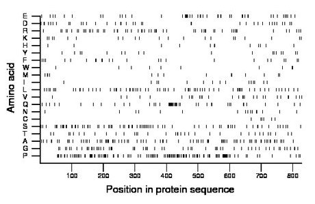 amino acid map