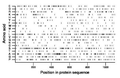 amino acid map