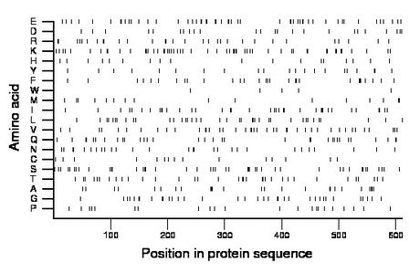 amino acid map