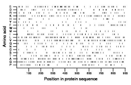 amino acid map