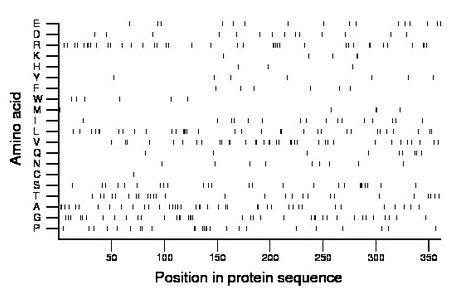 amino acid map