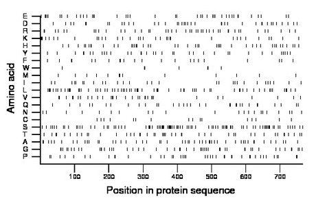 amino acid map