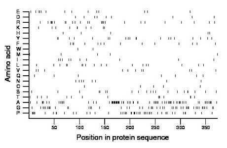 amino acid map