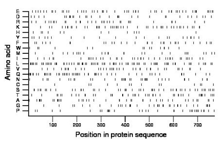 amino acid map