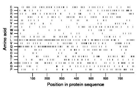 amino acid map