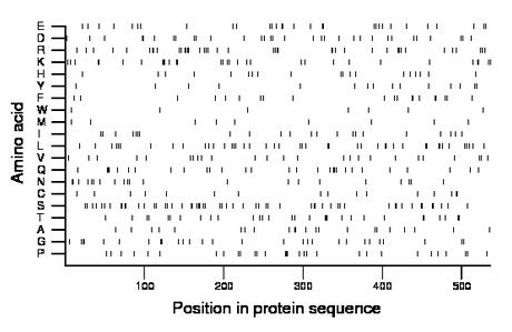 amino acid map