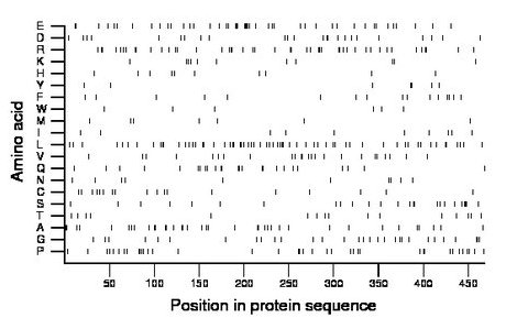 amino acid map