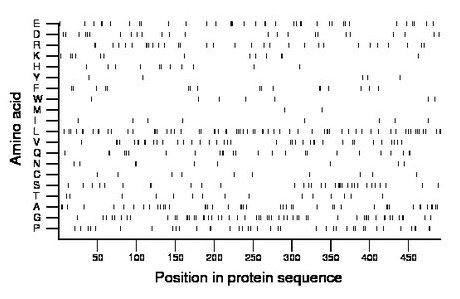 amino acid map