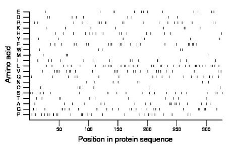 amino acid map