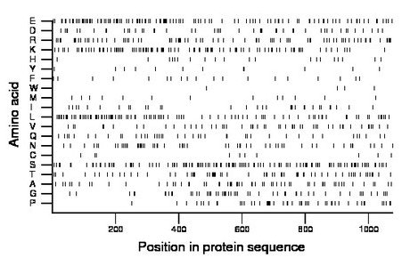 amino acid map