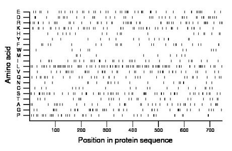 amino acid map