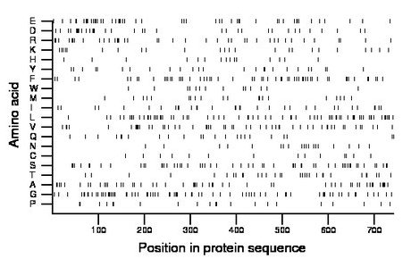 amino acid map