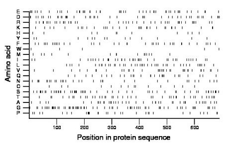 amino acid map