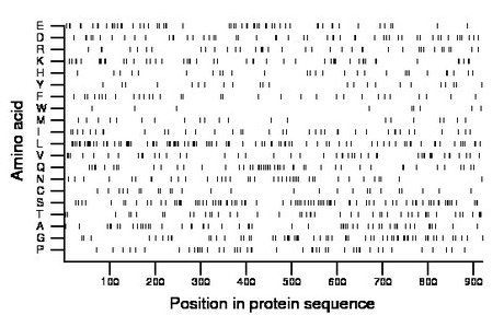 amino acid map