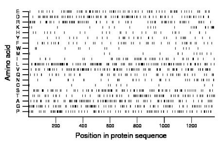 amino acid map