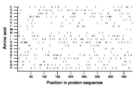 amino acid map