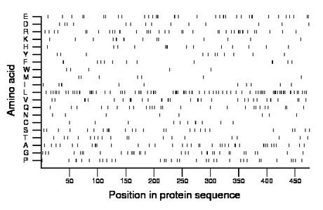 amino acid map