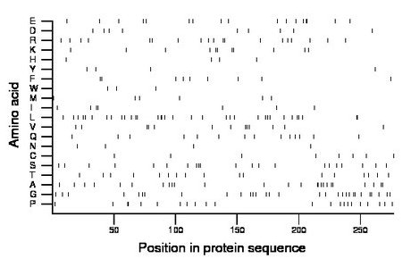 amino acid map