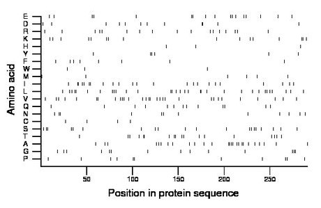 amino acid map