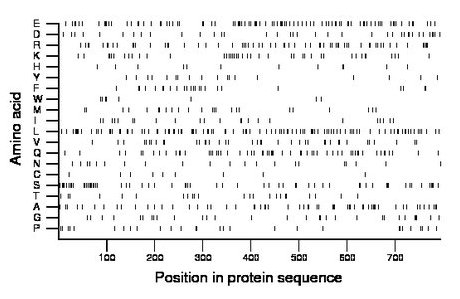 amino acid map