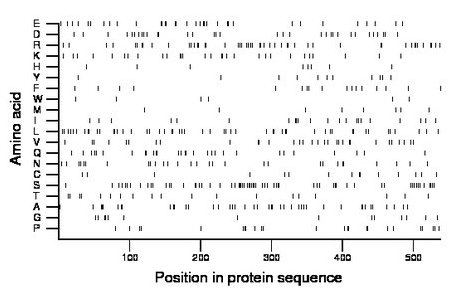 amino acid map