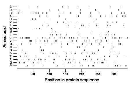 amino acid map