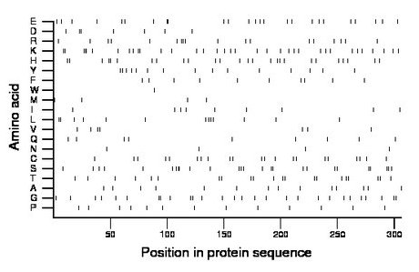 amino acid map