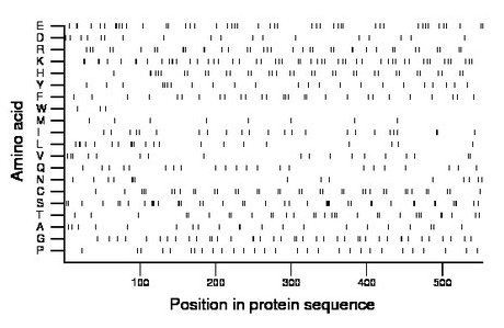 amino acid map