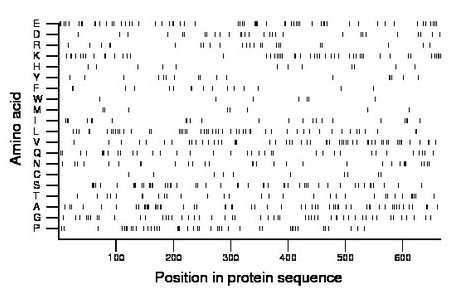 amino acid map