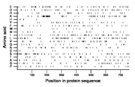 amino acid map