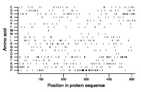 amino acid map