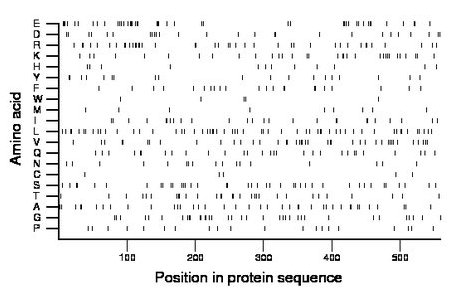 amino acid map