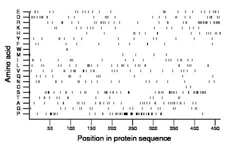 amino acid map