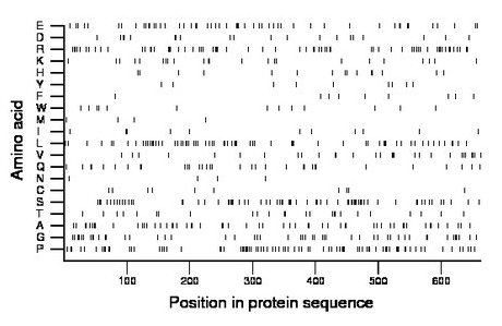 amino acid map