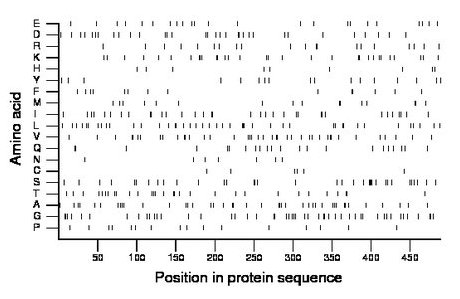 amino acid map