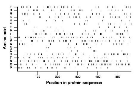 amino acid map