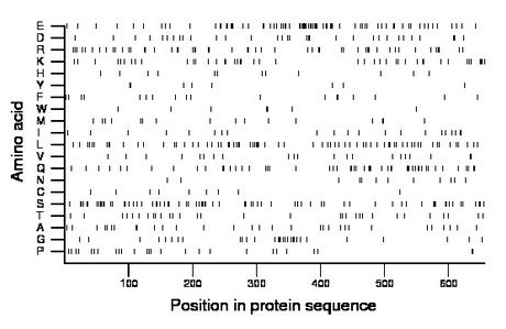 amino acid map