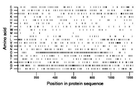 amino acid map