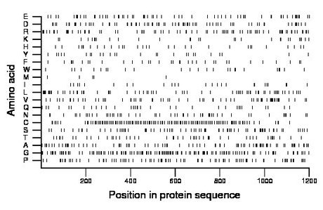 amino acid map